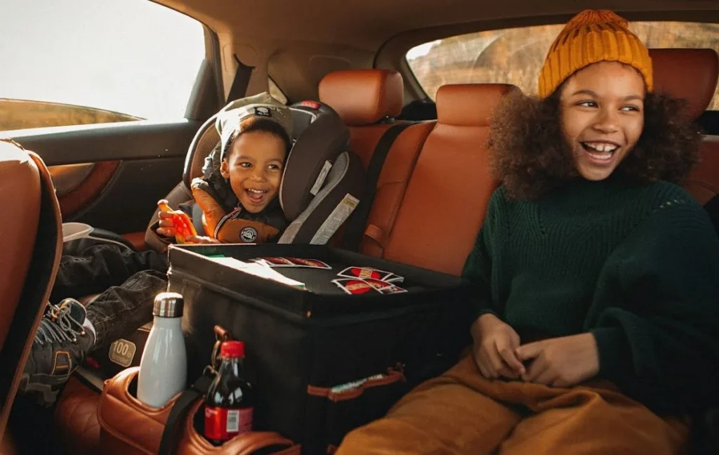 Backseat Car Organizer
