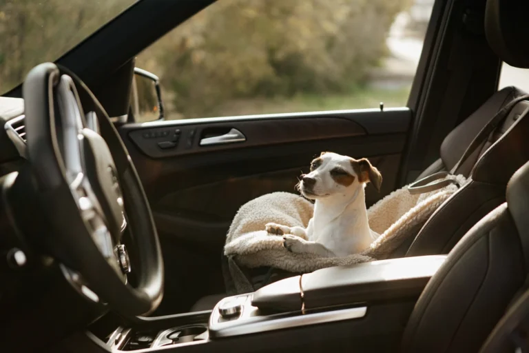 Portable dog carrier for car travel