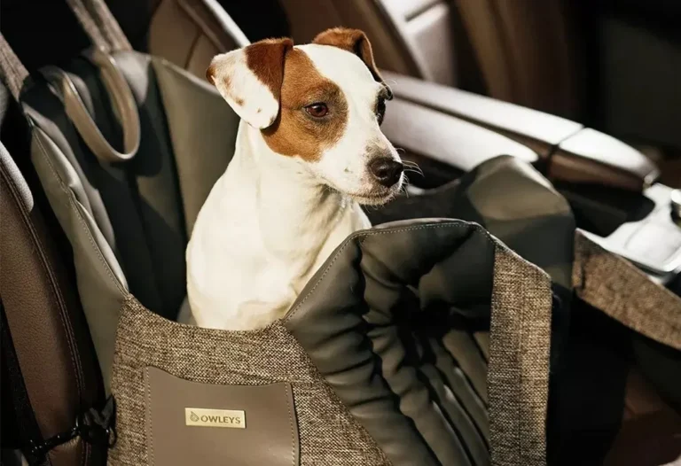 Carrier Dog Car Seat
