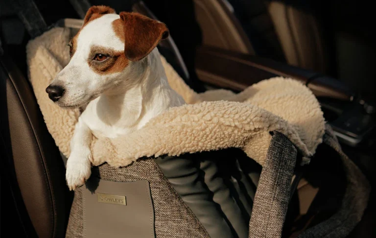 Portable dog carrier for car travel