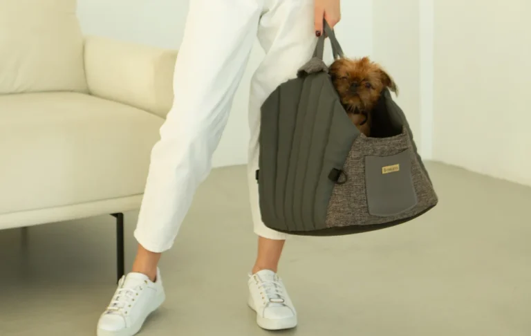 Pet carrier car seat for dogs